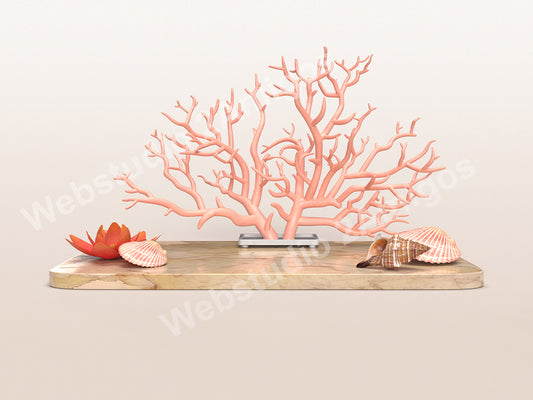 Display with coral, shells, flowers and a marble wall